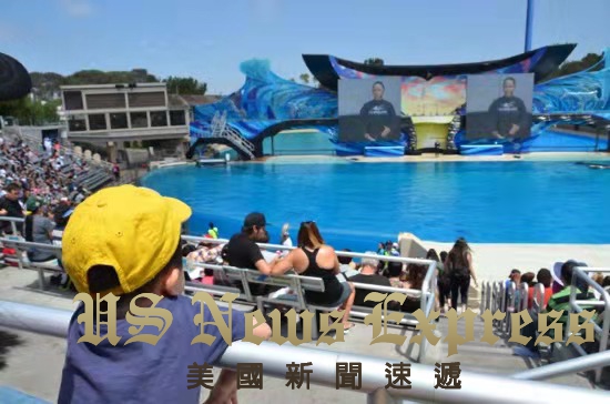圣地亚哥海洋世界,seaworld