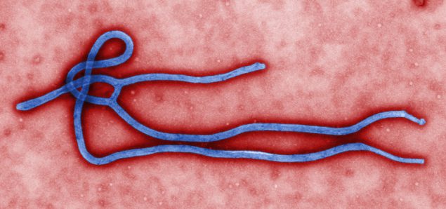 CDC颁新规:防埃博拉病毒