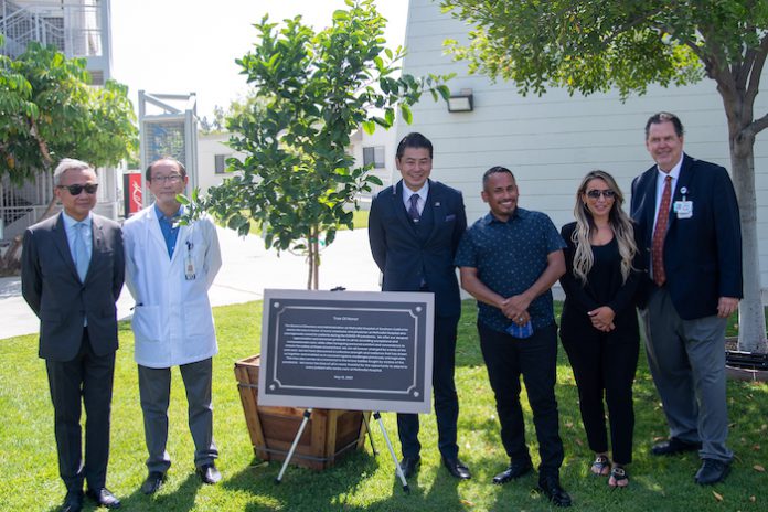 美以美医院 methodist hospital Paul Cheng-29