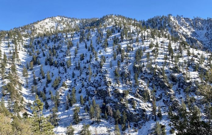 IMG_0827 下雪,snow