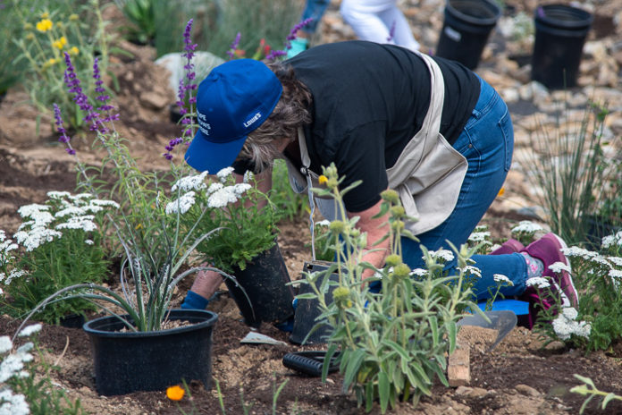 City of Hope Orange County Healing Garden-34