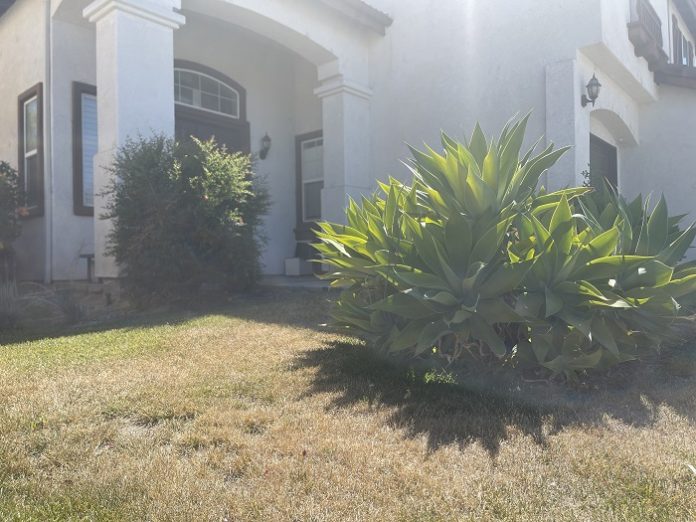 4804e1438f4768f22c1108cc94f4756