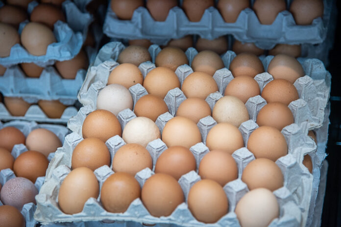 Grand Fresh market-2