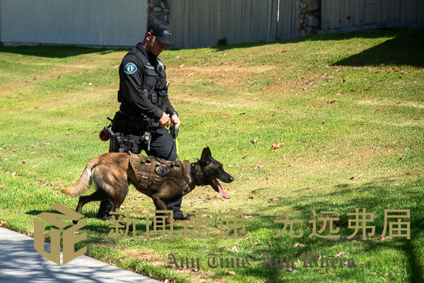 Irvine IPD Whistling Swan homicide-8