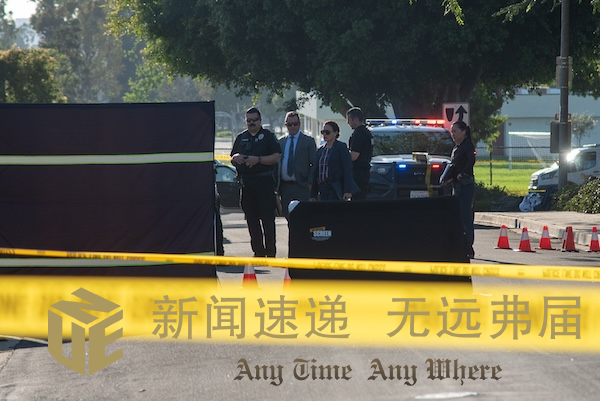 Irvine homocide green tree-2