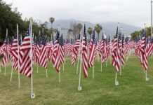 【锐视频】致敬英雄,礼赞勇气与韧性:亚凯迪亚第27届国殇日纪念仪式震撼举行