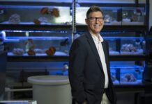 比钢更硬的牙齿!海底怪物启发未来材料革命